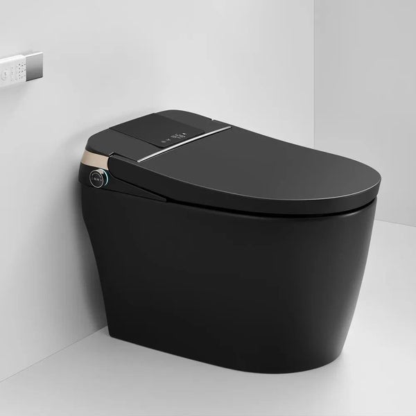 Intelligent Electric Smart Toilet Carousel 2