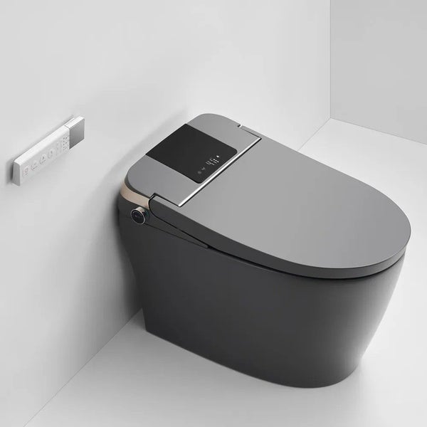 690x395x490mm One Piece Intelligent Electric Smart Toilet Carousel 1