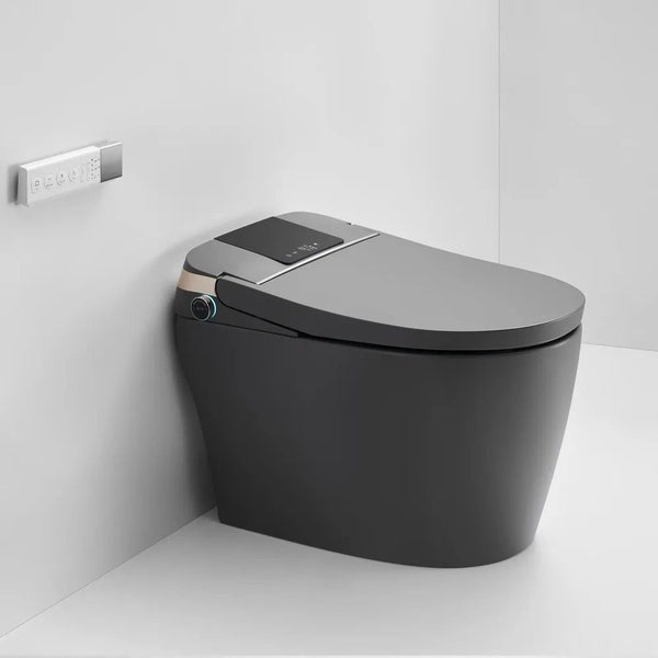 690x395x490mm One Piece Intelligent Electric Smart Toilet Carousel 2