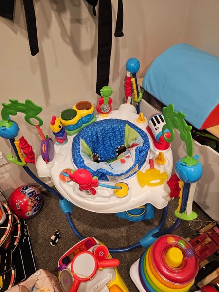 Baby Einstein bouncer Carousel 1
