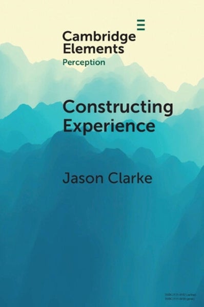 Constructing Experience by Jason Clarke - Paperback Carousel 1