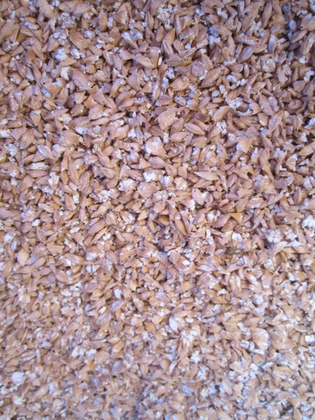 Crushed Barley Feed Grain Carousel 1