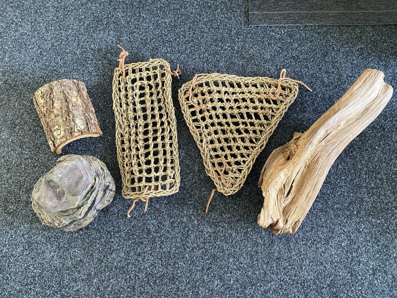 Bearded Dragon Accessories Carousel 1