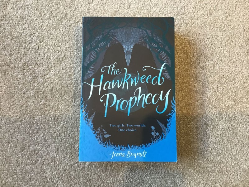 The Hawkweed Prophecy by Irena Brignull Carousel 1