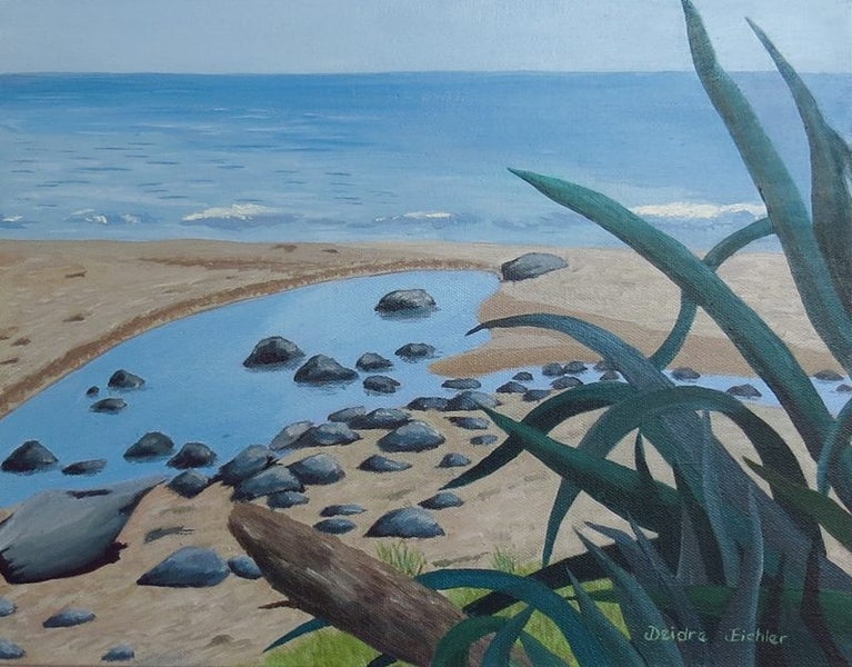 "Rock Pool At Hot Water Beach" Original NZ Oil Painting by Deidre Eichler