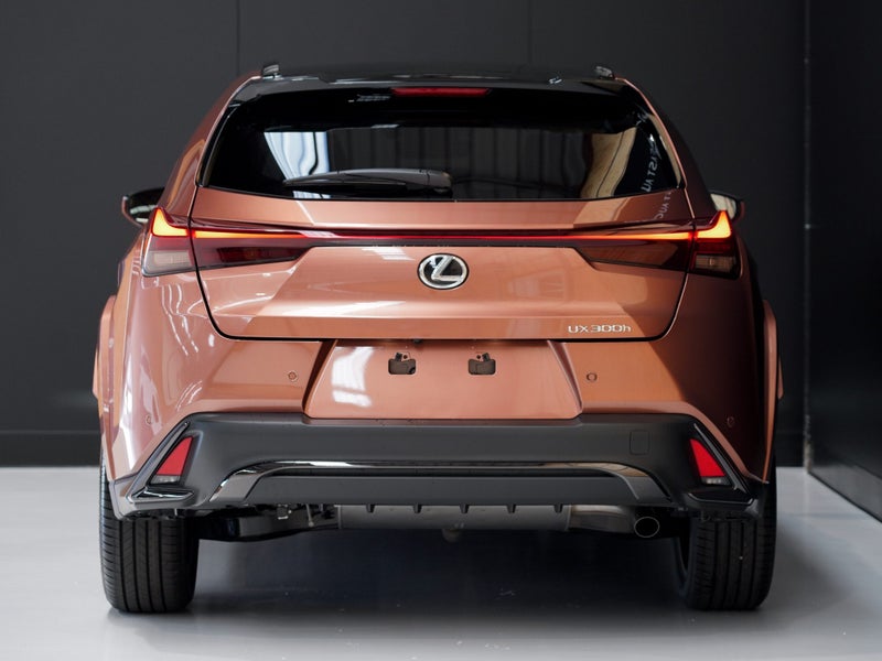 2025 Lexus UX 300h 300H F Sport 2.0Ph62864752560514114