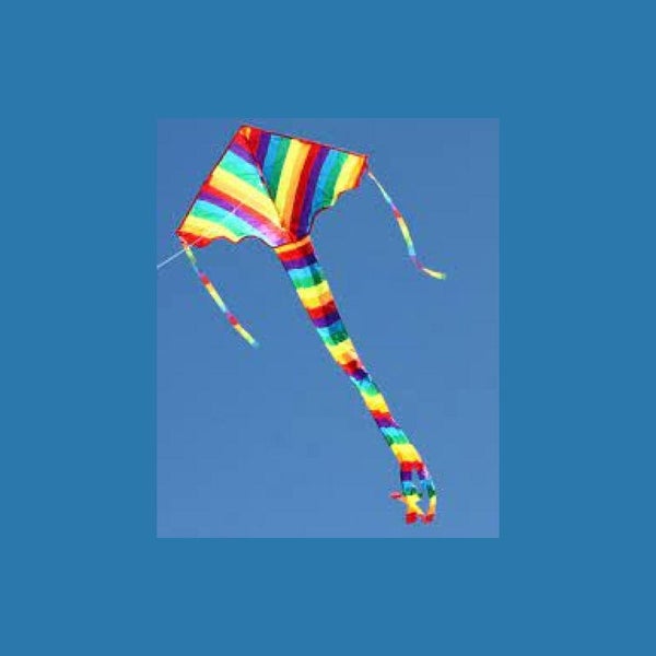 Toys Rainbow Delta 0.900 Metre Wingspan Carousel 1