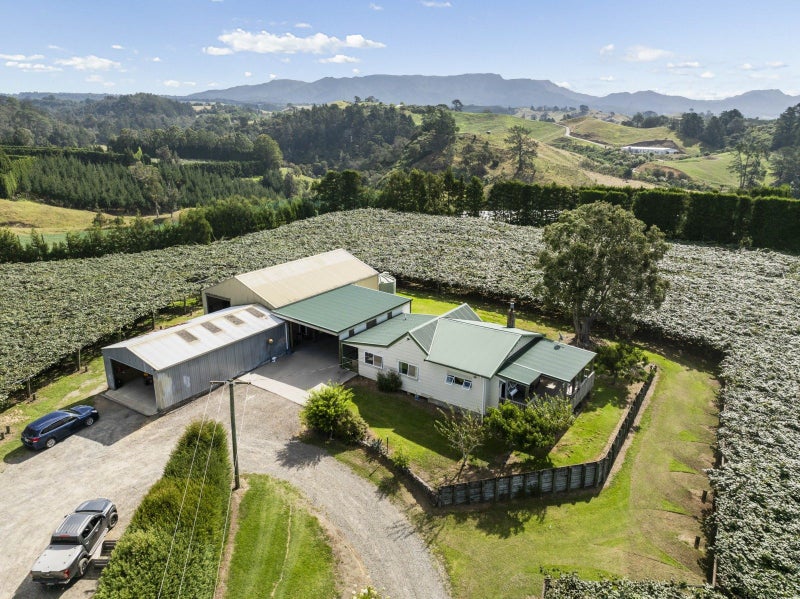 Image 2 of 20