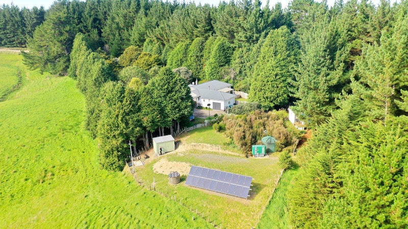 Image 3 of 19