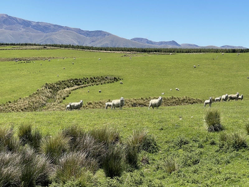 Large scale farming in Otago62867862249090111