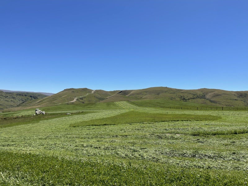 Large scale farming in Otago62867862249090112