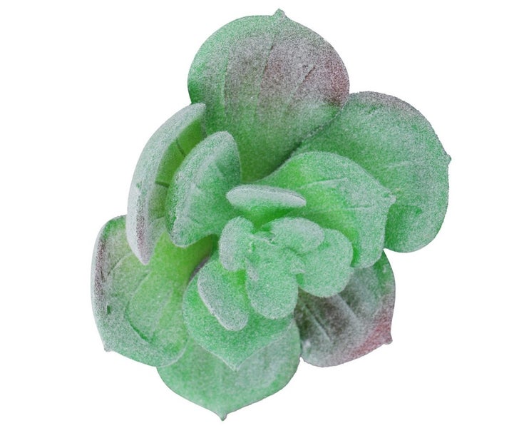 Artificial Succulent Plant Unpotted Fake Plastic Succulent for Home Of Carousel 7