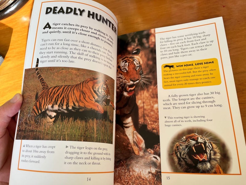 Tiger Killer Creatures by Anna Claybourne Carousel 3