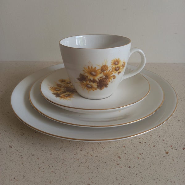 Constantia Fine China RSA - Delilah - 24 Teacup, Saucer, Side & Main Plate Sets Carousel 2