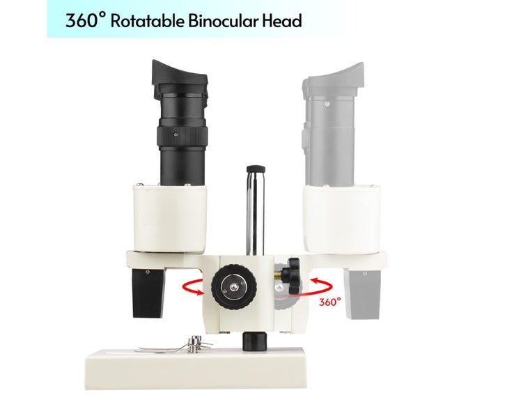 40X Magnification Stereo Light Microscope Compound Binocular Microscope Carousel 2