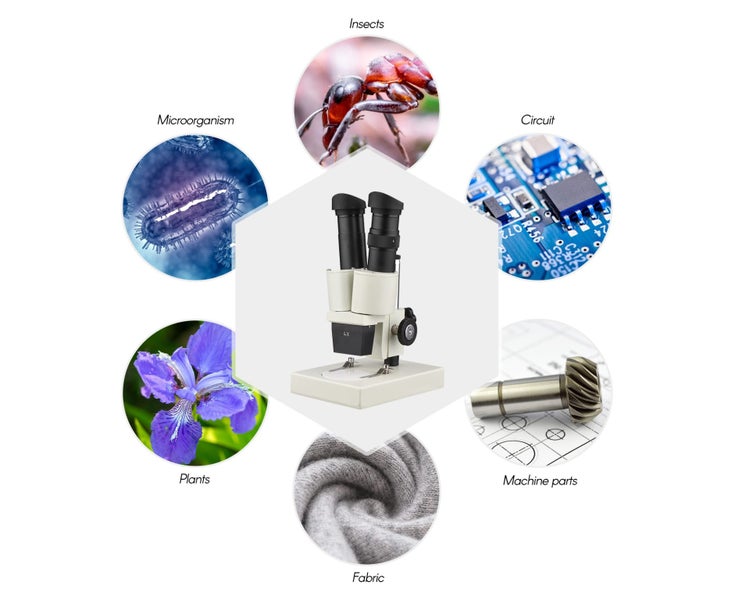 40X Magnification Stereo Light Microscope Compound Binocular Microscope Carousel 6
