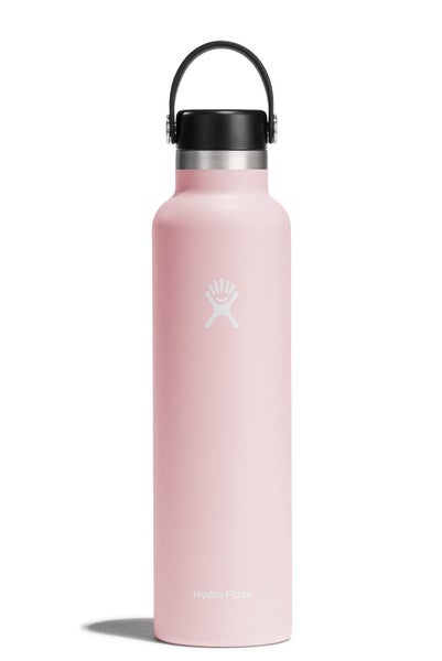 Hydro Flask 24oz (710ml) Standard Mouth Drink Bottle Trillium Carousel 1