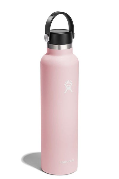 Hydro Flask 24oz (710ml) Standard Mouth Drink Bottle Trillium Carousel 2