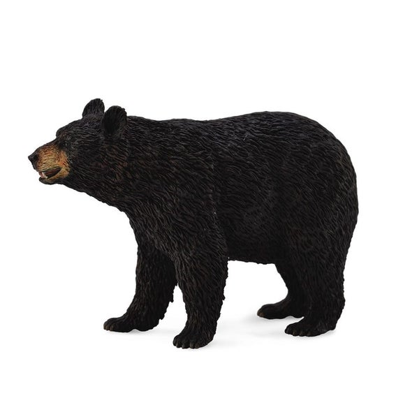 CollectA American Black Bear Figure (Large) Carousel 1