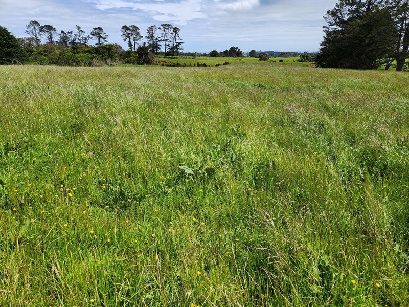 Image 1 of 49