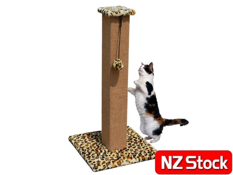 PTN NEW Cat Scratcher Sale Sale Carousel 1