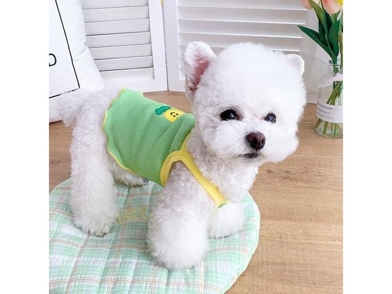 Dog Vest Carousel 1