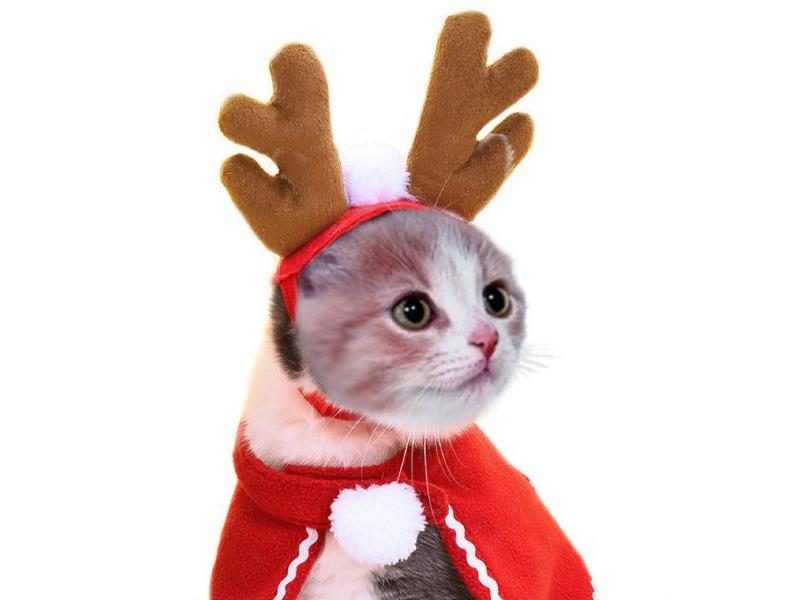 Christmas Hat Halloween Pet Costume Cat Dog Puppy Scarf Gift New Year Santa Carousel 1
