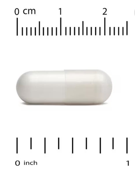 MASTIC GUM 500 MG per CAPSULE - 60 VEGGIE CAPS - DIGESTIVE, H PYLORI - E1226 Carousel 4