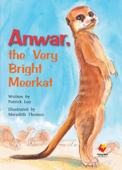 Anwar, The Very Bright Meerkat Carousel 1