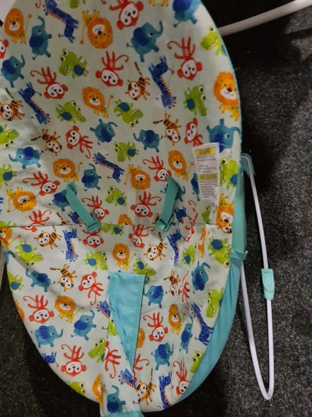 Infant Sitting Carousel 1