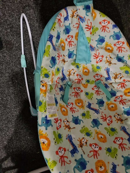 Infant Sitting Carousel 2