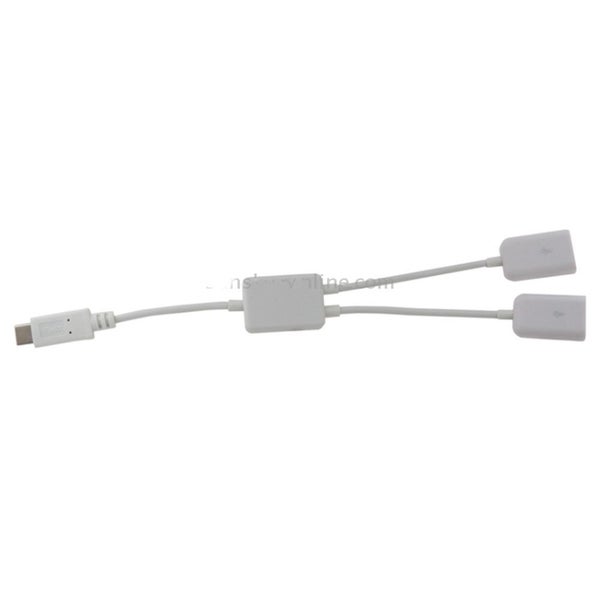 21cm 2 in 1 USB-C / Type-C 3.1 to USB 2.0 Data Cable - WHITE Carousel 2