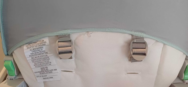 Ingenuity Bounce & Rock Seat - Spruce Carousel 4