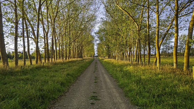 Image 2 of 14