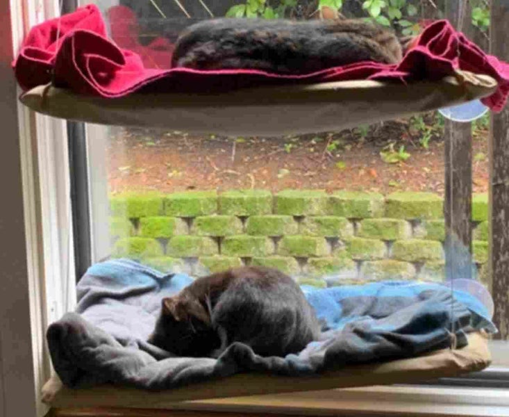 Cat Window Mounted bed Seat Pets Sunny Hammock Cover Washable Carousel 2