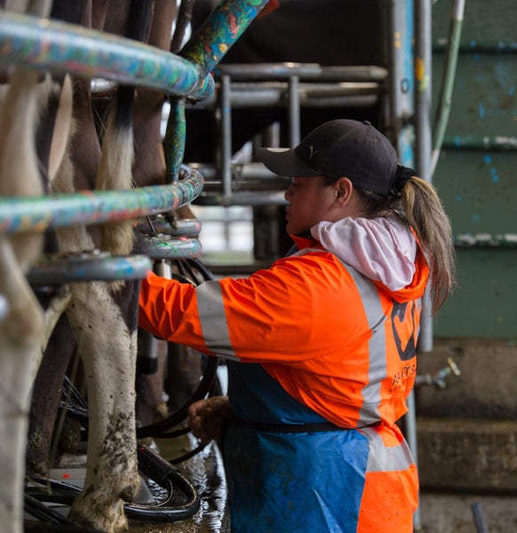 Landcorp Farming Limited Carousel 2
