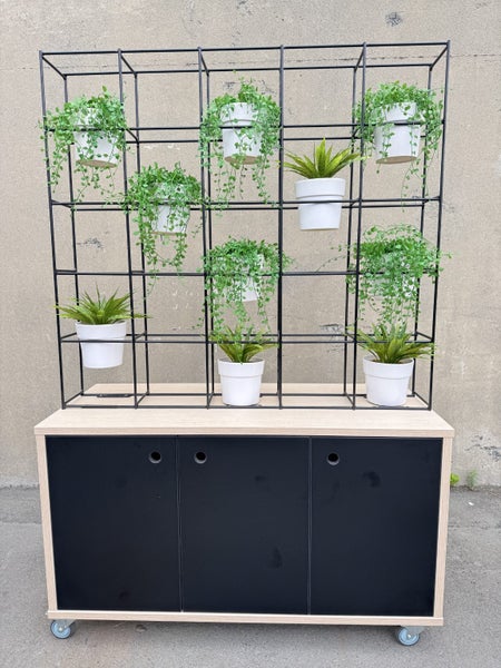 Office Cabinet with Plant Wall Attached Carousel 1