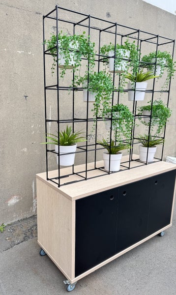 Office Cabinet with Plant Wall Attached Carousel 2