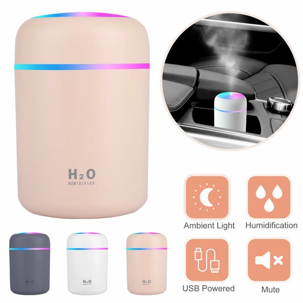 Aroma Diffuser Humidifier Carousel 1