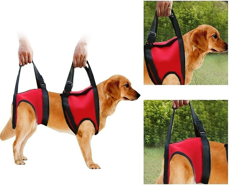 1 Pair M-forward And Backward Dog Support Harness Walking Aid Lifting Traction Carousel 1