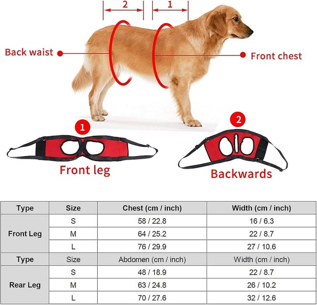 1 Pair M-forward And Backward Dog Support Harness Walking Aid Lifting Traction Carousel 2