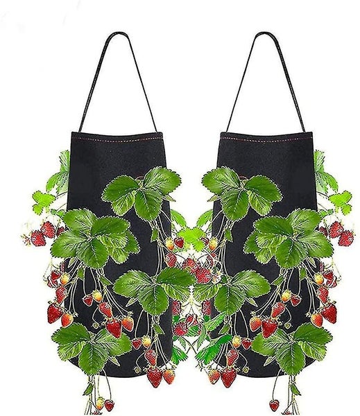 Strawberry Planting Bags. 2 Pack Hanging Strawberry Planter. Premium Breathable Carousel 1