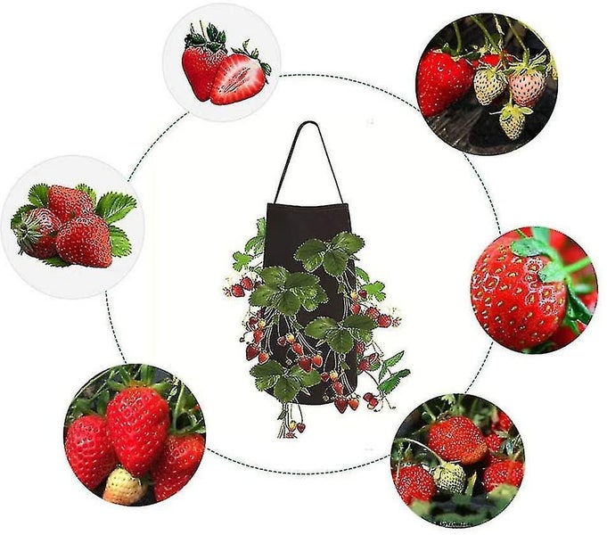 Strawberry Planting Bags. 2 Pack Hanging Strawberry Planter. Premium Breathable Carousel 5