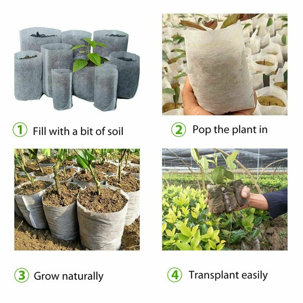 Seedling Planter Nursery Sponge Pots Carousel 2