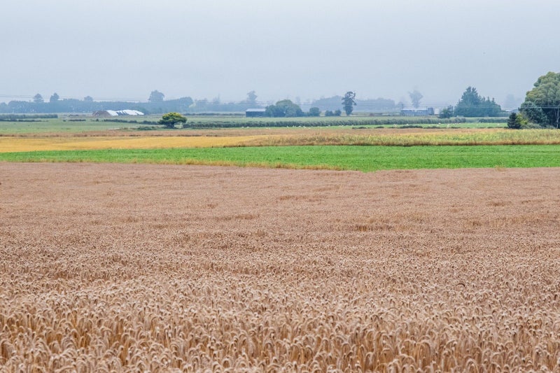 First Farm or Additional Land - 78 Hectares62865861550723111