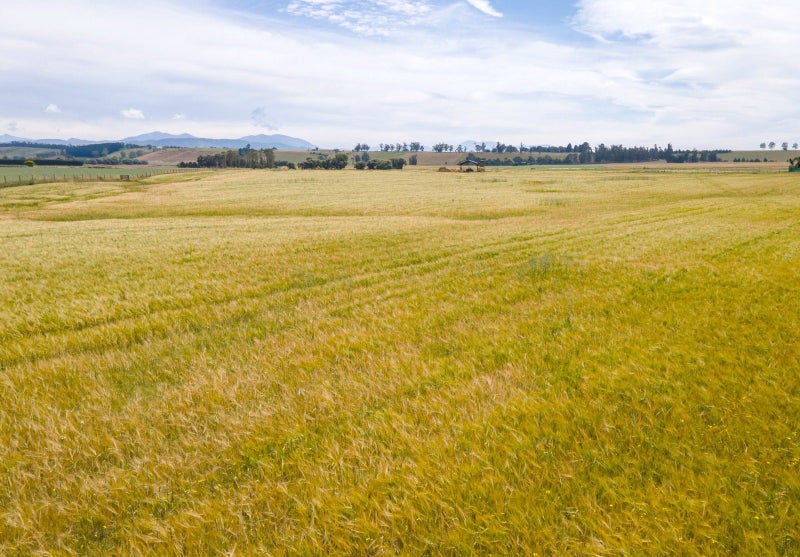 First Farm or Additional Land - 78 Hectares62865861550723113