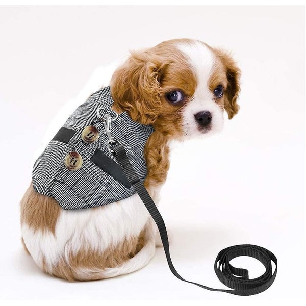 2 Rabbit Adjustable Costume Harness Small Animal Harness And Leash Setfor Sma Carousel 5