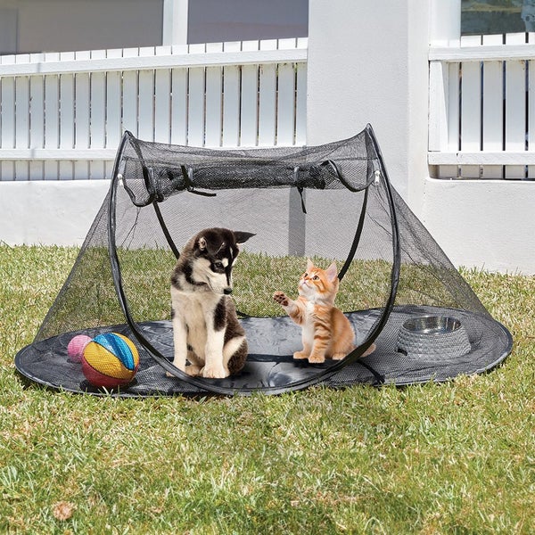 Outdoor foldable pet tent - great to give the kittens some outside time. safe Carousel 1