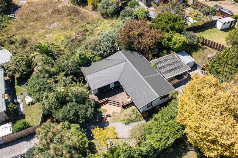 Image 3 of 20