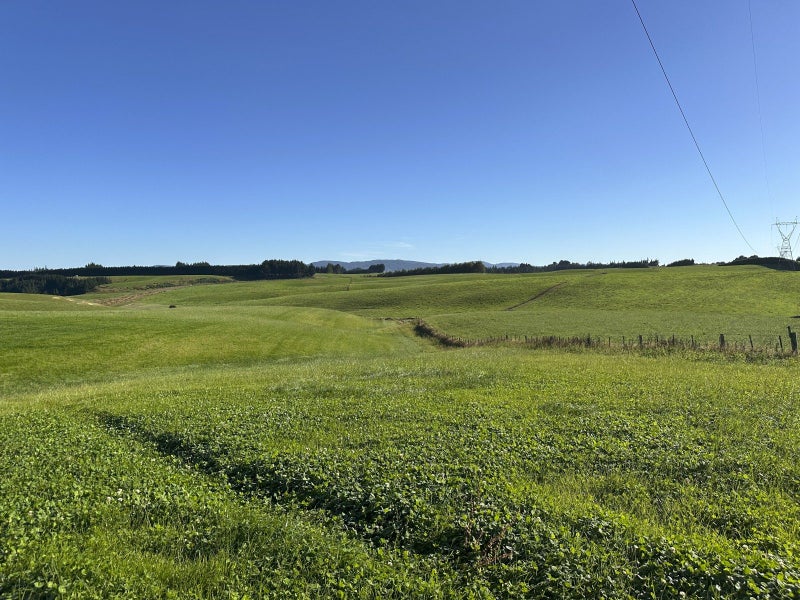 Image 2 of 15